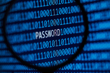 Sticker - Online password security concept.