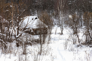 Sticker - old wooden houses at the edge of forest in winter