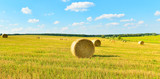 Fototapeta Mapy - Landscape with a haystacks.