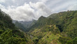 Green valley. Madeira Island, Portugal.
