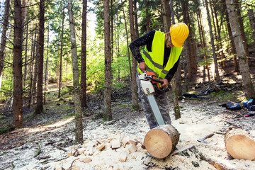 Lumberjack logger worker in protective gear cutting firewood timber tree in forest with chainsaw