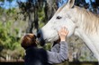 Woman hugging greay horse