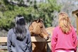 Cute photo of two girls and horse