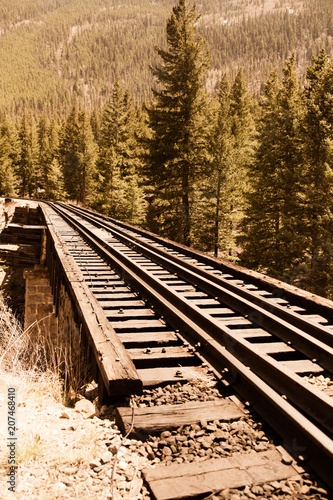 Cuadros en Lienzo Railroad tracks through mountain countryside and pine tree with vintage retro effect