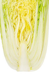 Wall Mural - Napa cabbage half. Chinese cabbage. Cross section from above, isolated on white background. Also called nappa or wombok. Brassica rapa Perkinensis Group. Macro food photo close up.