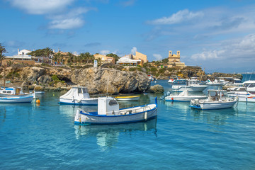 Boats in the port on a sunny summer day, you can see the yellow rocks, palms and houses. Tabarca Island in Spain.