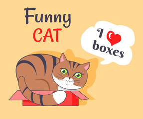 Sticker - Funny Cat I Love Boxes Poster Vector Illustration