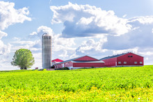 Landscape View Of Farm In Ile D'Orleans, Quebec, Canada With Red Harvest Or Crop Storage Silo Building, Green Field Of Grass, Dandelion Flowers And Cloudy, Cloud Sky