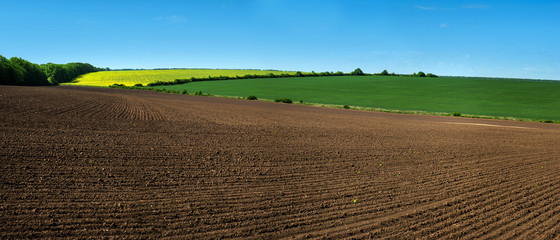 farm field lines of arable land and rapeflowerfield landscape