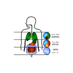 Ayurveda doshas: Vata, Pitta, Kapha and internal human organs. Flat vector icons.