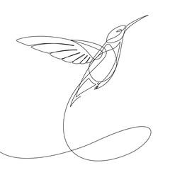 Wall Mural - Humming Bird Continuous Line Vector