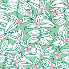 Vector Seamless Pattern With Outline Tradescantia Or Wandering Jew Flower And Ornate Striped Leaf In White On The Pastel Green Background. Tradescantia Pattern In Contour Style For Summer Design.