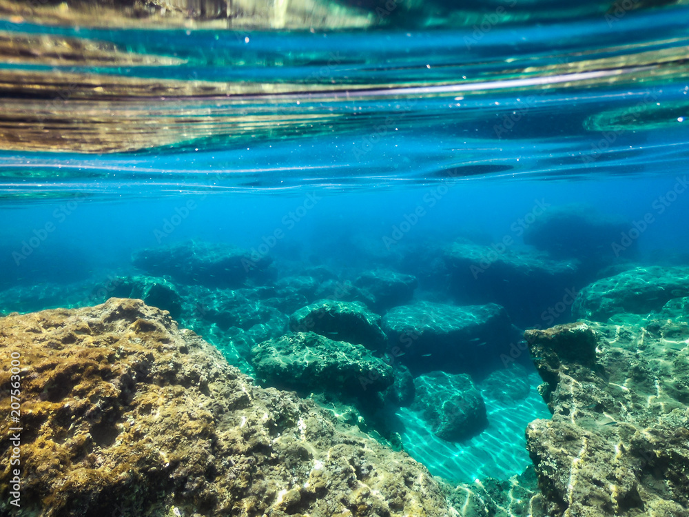 My Under Water World