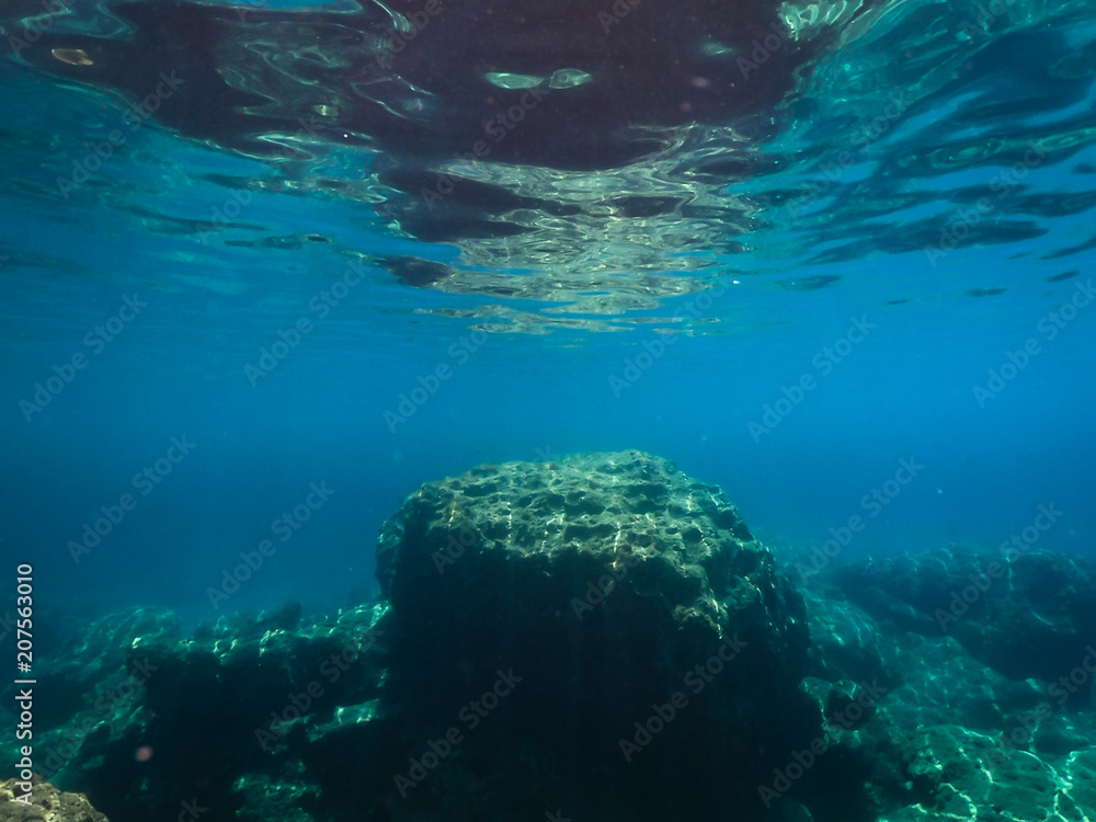 My Under Water World