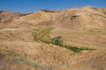 Wall Mural - Brown hills