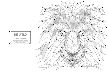 Fototapete - Abstract mash line and point Abstract vector image of lion origami on white background with an inscription. Lion's head Low poly wire frame illustration. Vector wild animal illustration