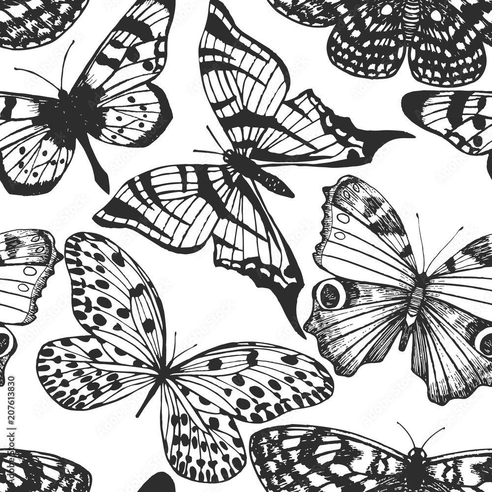 butterfly-pattern-in-hand-drawn-style-stock-vector-adobe-stock