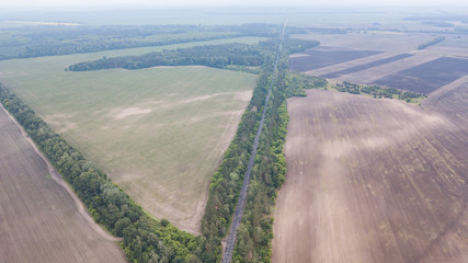 Wall Mural - Aerial view of green field .Flying over the field with green grass and little lake. Aerial survey of forest near the lake and field.Farmland from above