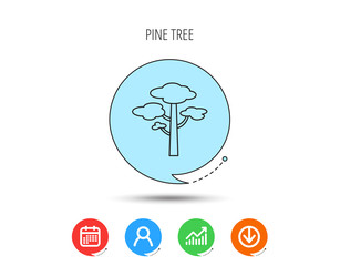 Wall Mural - Pine tree icon. Forest wood sign.