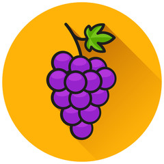 Poster - grapes circle flat icon concept