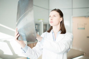 Wall Mural - Young female in whitecoat looking at x-ray image and analyzing its details