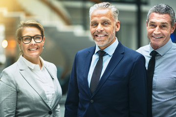 Wall Mural - Smiling group of mature executives standing in a modern office