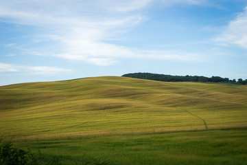 paesaggio toscano