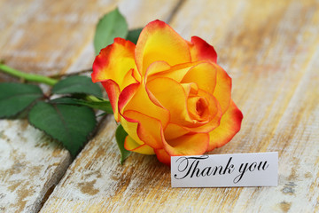 Canvas Print - Thank you card with one red and yellow rose on rustic surface
