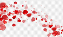 Falling Red Rose Petals On A Transparent Background.Vector Illustration