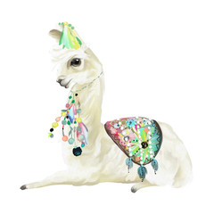 Cute hand painted mexican llama, alpaca with ethnic blanket, flowers and boho feathers decoration