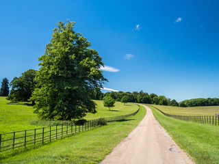 A road running between green fields or meadows beneath a blue sky