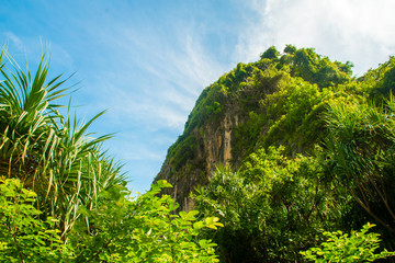 Wall Mural - Hills under beautiful tropical Maya Bay Beach, Koh Phi Phi, Thailand