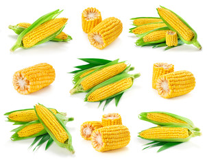 Corn on the cob kernels