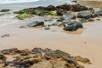 Wall Mural - Beautiful beach nature near Itacare in Bahia