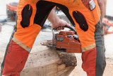 Fototapeta  - man in orange safety clothing from behind removing the bark from a tree trunk with a chainsaw, view through his legs