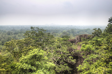 View over the jungle in Sigiriya, Sri Lanka.