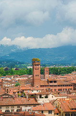 Wall Mural - Lucca old  historic center skyline with medieval towers and clouds above