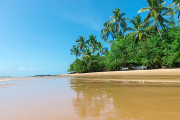 Canvas Print - Natural pools in Peninsula de Marau Bahia