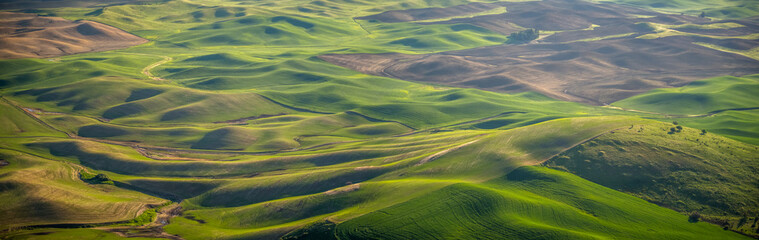  Panorama: farming in the Palouse