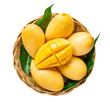 fresh Yellow mango Beautiful Skin In the basket isolate