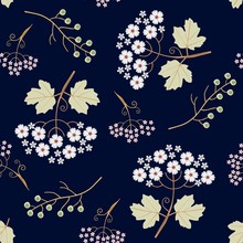 Seamless Pattern With Viburnum And Umbrella Flowers, Bird Cherry Berries Isolated On Dark Blue Background In Vector. Spring Vector Background.