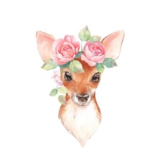 Baby Deer And Flowers. Hand Drawn Cute Fawn. Watercolor Illustration