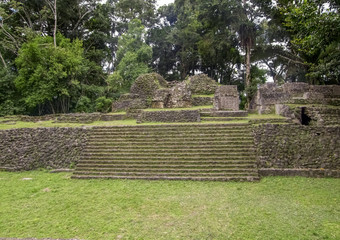 Wall Mural - Caracol in Belize