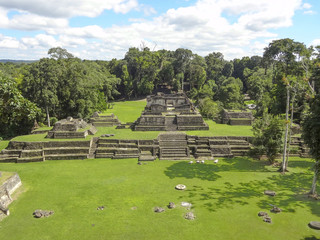 Wall Mural - Caracol in Belize