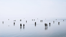Large Group Of People Or Crowd Standing Walking And Swimming In Shallow Water At German North Sea Coast During Ebb Tide, Backlit Silhouettes