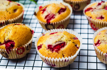 Wall Mural - Homemade strawberry fruit muffins