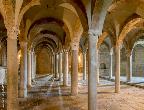 Crypt With A Vaulted Ceiling And Lots Of Columns Basilica Of San Pietro Tuscania Viterbo Lazio Italy Southern Europe Buy This Stock Photo And Explore Similar Images At Adobe Stock