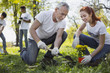 © zinkevych - Community garden. Cheerful two volunteers planting flower and smiling