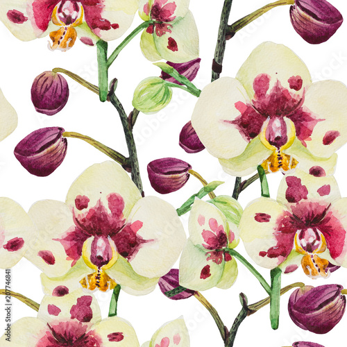 bez-szwu-wzor-jest-w-akwarela-w-dobrej-rozdzielczosci-kompozycja-sklada-sie-z-kwiatostanu-storczykow-phalaenopsis