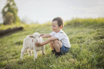 cute boy with lamb